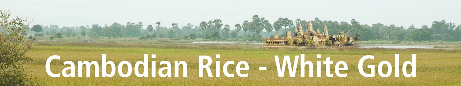 banner Cambodian Rice -
                            White Gold